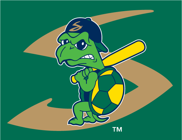 Beloit Snappers 2003-pres cap logo v2 iron on transfers for clothing